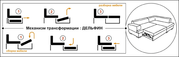 дельфин